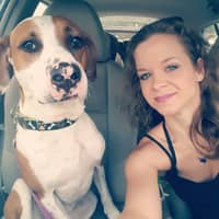 Sitter Profile Image: Clare Phelps W.