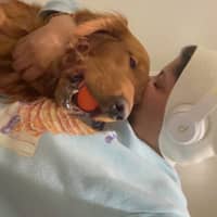 Sitter Profile Image: Brittany L.