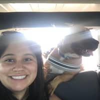 Sitter Profile Image: Desiree B.