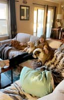 Sitter Profile Image: Elise B.