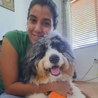 Sitter Profile Image: Laura & Luis B.