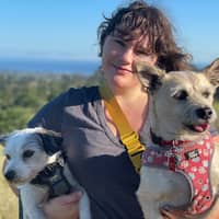 Sitter Profile Image: Chelsea A.