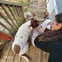 Sitter Profile Image: Jessica W.