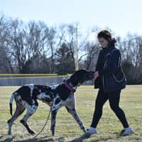 Sitter Profile Image: Riley C.