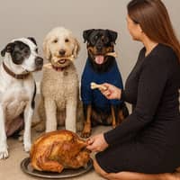 Sitter Profile Image: Olinda j.