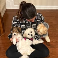 Sitter Profile Image: Jodyann K.