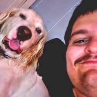 Passarens profilbild: Parsa S.