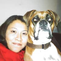 Sitter Profile Image: Vanessa E.
