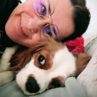Photo de profil du pet sitter : Marjorie N.
