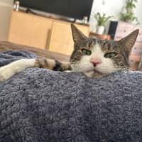 Photo de profil du pet sitter : Solene V.