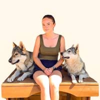 Sitterprofilbild: Enya B.