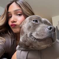 Photo de profil du pet sitter : Logan V.