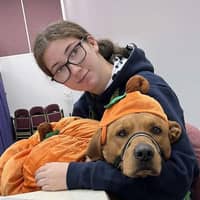 Sitter Profile Image: Lucy S.