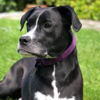 Foto del cuidador: Paloma P.