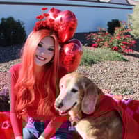 Sitter Profile Image: Grace C.