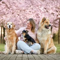 Photo de profil du pet sitter : Marie V.
