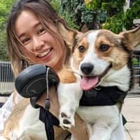 Sitter Profile Image: Xu-Tung & Trung J.