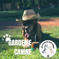 Photo de profil du pet sitter : Émilie B.