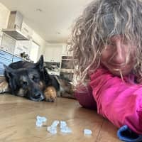 Sitter Profile Image: Bryan G.