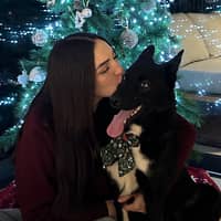 Sitter Profile Image: Júlia S.