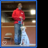 Sitter Profile Image: Andrew F.