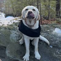 Sitter Profile Image: Jc C.