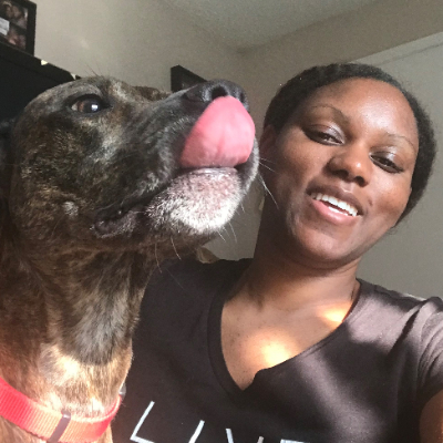 doggy day care southern suburbs