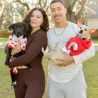 Sitter Profile Image: Alyssa F.