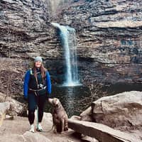 Sitter Profile Image: Allison S.