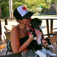 Best Dog Walkers In Arlington Va Rover Com