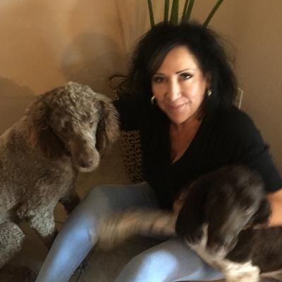 jeannie's doggy daycare