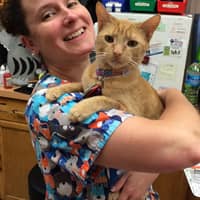 Sitter Profile Image: Carey R.