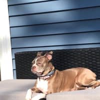 Sitter Profile Image: Rosa N.