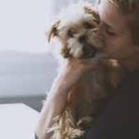 Sitter Profile Image: Lynnsee C.