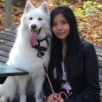 Sitter Profile Image: Wenjing H.