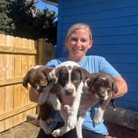 Sitter Profile Image: Ashley K.