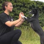 Sitter Profile Image: Alicia P.