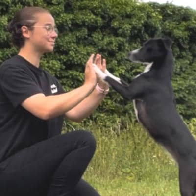 Photo de profil du pet sitter : Alicia P.