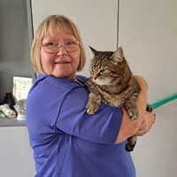 Sitter Profile Image: Helen K.