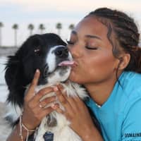 Photo de profil du pet sitter : Assia M.