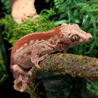 Sitter Profile Image: Kimberly M.