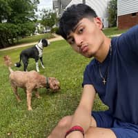 Sitter Profile Image: Roberto V.