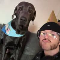 Sitter Profile Image: Jack H.