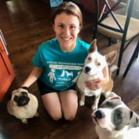 Sitter Profile Image: Hannah F.