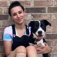 Sitter Profile Image: Aerial Y.