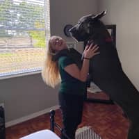 Sitter Profile Image: Megan M.