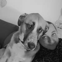 Immagine del profilo del sitter: Jessica D.