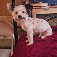 Sitter Profile Image: Shontay E.