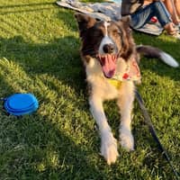 Sitter Profile Image: Jessie L.