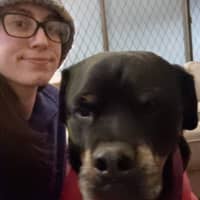 Sitter Profile Image: Sarah M.